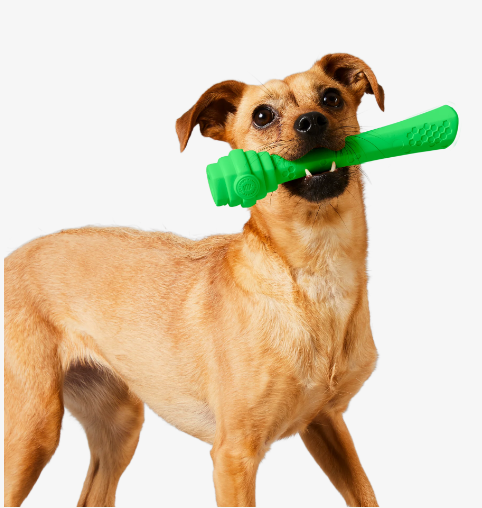 background DOG home page ametufilo